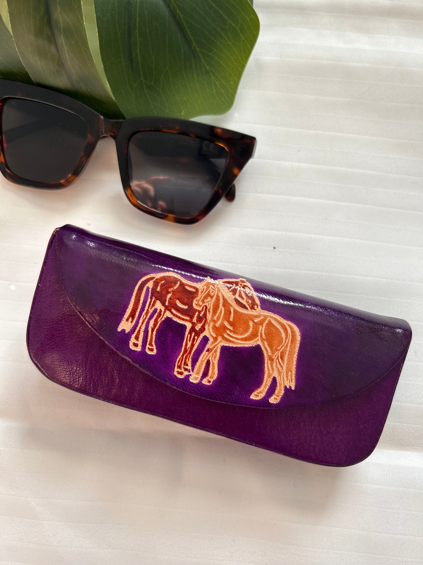 Stallion Sunglasses Case - Leather